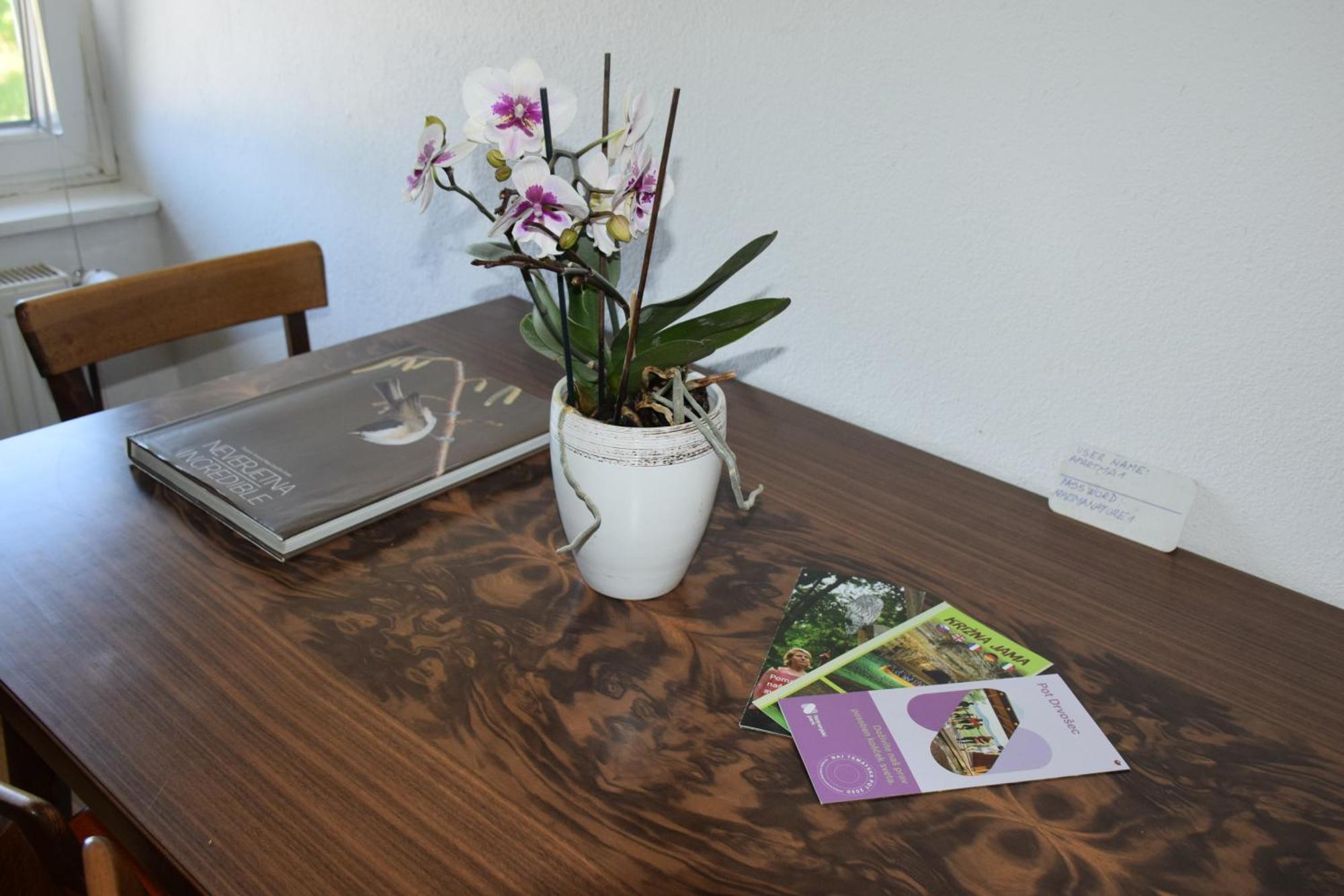 Begunje pri Cerknici Apartma Narava חדר תמונה